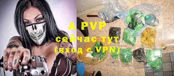 спиды Белокуриха