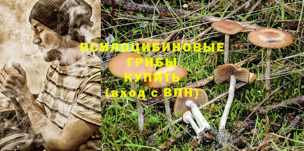 гашик Белоозёрский