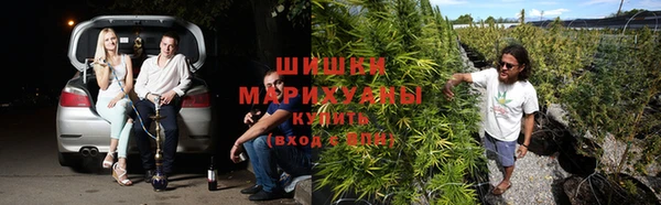 каннабис Богородицк