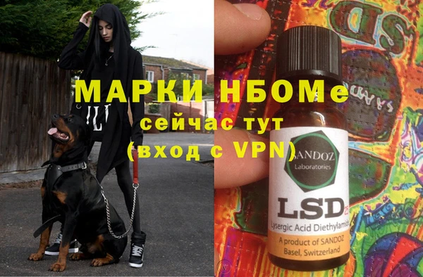 спайс Богданович