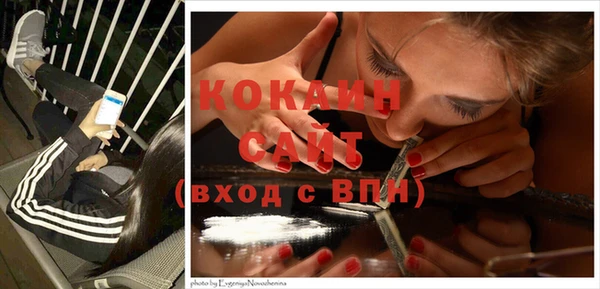 спайс Богданович
