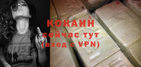 спайс Богданович